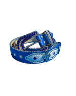 COSMOS BELT