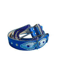COSMOS BELT